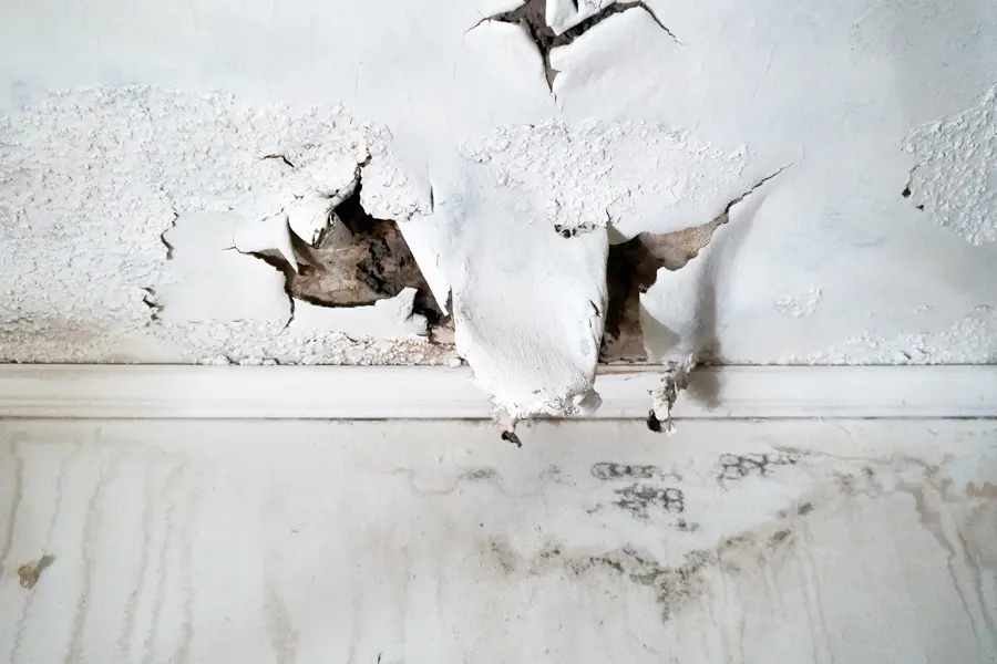 Water damage and a hole in a ceiling in a Forest Park, GA home
